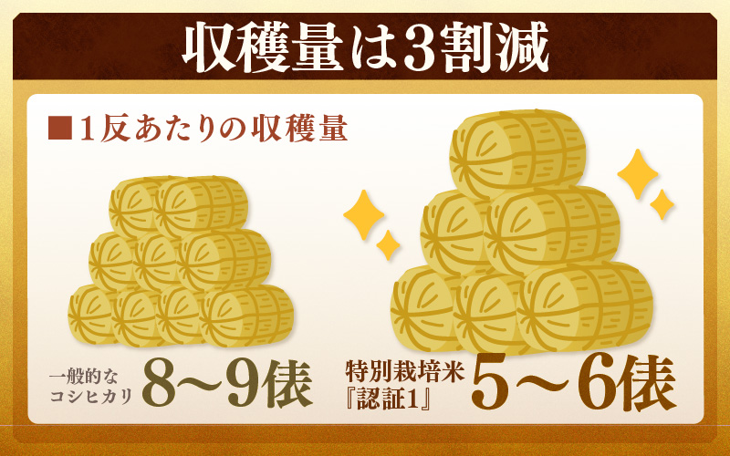【先行予約】【令和8年産 新米】コシヒカリ 精米 5kg 特別栽培米 農薬不使用 化学肥料不使用 ／ 残留農薬ゼロ 高品質 鮮度抜群 福井県産 ブランド米 白米 ※2026年9月下旬より順次発送予定 [aw063-a012]