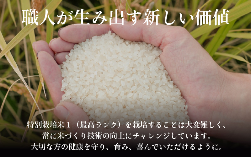 【先行予約】【令和8年産 新米】コシヒカリ 精米 5kg 特別栽培米 農薬不使用 化学肥料不使用 ／ 残留農薬ゼロ 高品質 鮮度抜群 福井県産 ブランド米 白米 ※2026年9月下旬より順次発送予定 [aw063-a012]