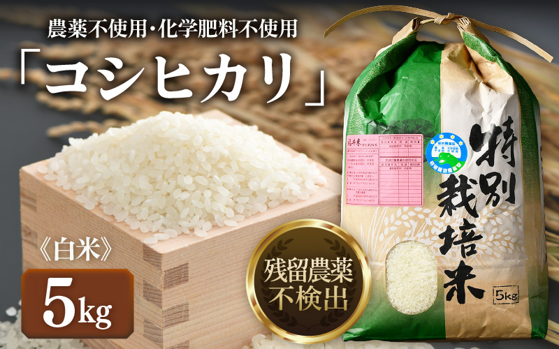 【先行予約】【令和8年産 新米】コシヒカリ 精米 5kg 特別栽培米 農薬不使用 化学肥料不使用 ／ 残留農薬ゼロ 高品質 鮮度抜群 福井県産 ブランド米 白米 ※2026年9月下旬より順次発送予定 [aw063-a012]