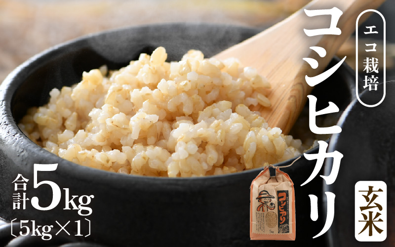 【先行予約】【令和8年産 新米】エコ栽培コシヒカリ　玄米5kg ／ 鮮度抜群 福井県産 こしひかり ご飯 新鮮 玄米 ※2026年10月上旬以降順次発送 [aw063-a021]