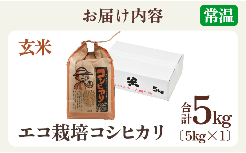 【先行予約】【令和8年産 新米】エコ栽培コシヒカリ　玄米5kg ／ 鮮度抜群 福井県産 こしひかり ご飯 新鮮 玄米 ※2026年10月上旬以降順次発送 [aw063-a021]