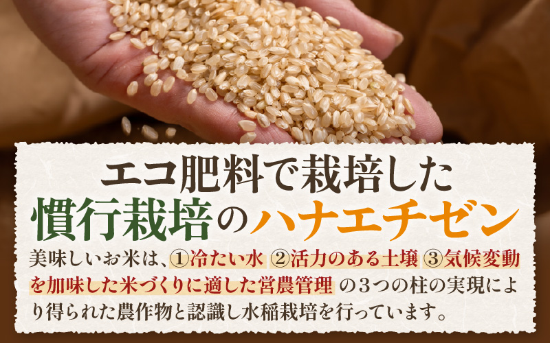 【先行予約】【令和8年産 新米】 エコ栽培ハナエチゼン　玄米5kg ／ 鮮度抜群 福井県産 はなえちぜん ご飯 新鮮 玄米 ※2026年9月上旬以降順次発送予定 [aw063-a017]