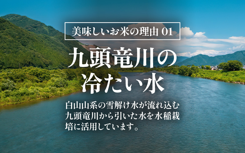 【先行予約】【令和8年産 新米】 エコ栽培ハナエチゼン　玄米5kg ／ 鮮度抜群 福井県産 はなえちぜん ご飯 新鮮 玄米 ※2026年9月上旬以降順次発送予定 [aw063-a017]