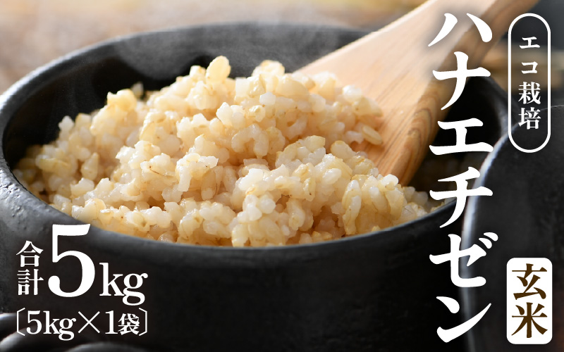 【先行予約】【令和8年産 新米】 エコ栽培ハナエチゼン　玄米5kg ／ 鮮度抜群 福井県産 はなえちぜん ご飯 新鮮 玄米 ※2026年9月上旬以降順次発送予定 [aw063-a017]
