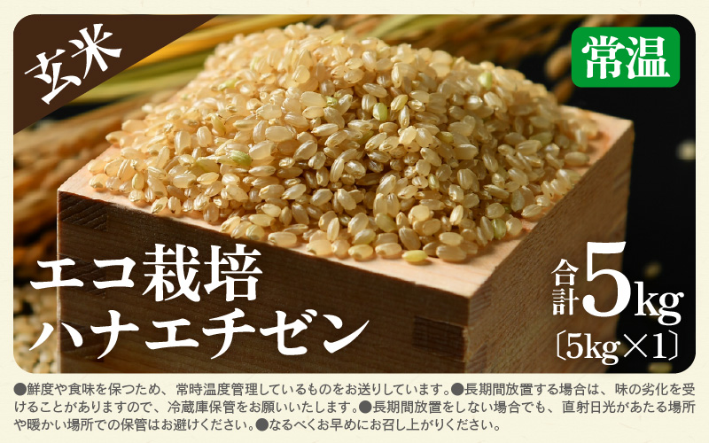 【先行予約】【令和8年産 新米】 エコ栽培ハナエチゼン　玄米5kg ／ 鮮度抜群 福井県産 はなえちぜん ご飯 新鮮 玄米 ※2026年9月上旬以降順次発送予定 [aw063-a017]