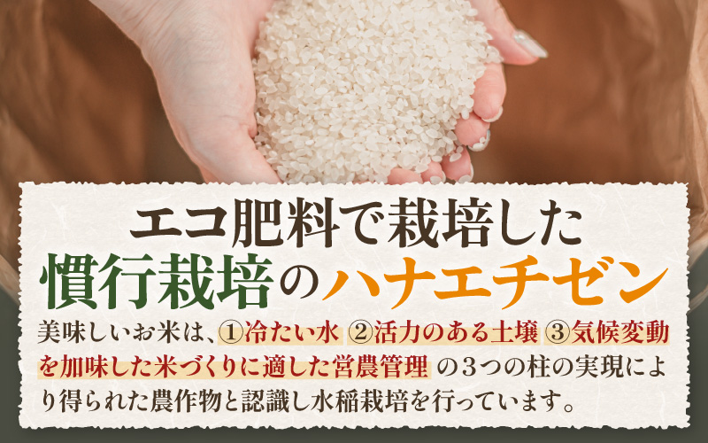 【先行予約】【令和8年産 新米】 エコ栽培ハナエチゼン　白米5kg ／ 鮮度抜群 福井県産 はなえちぜん ご飯 新鮮 白米 ※2026年9月上旬以降順次発送予定 [aw063-a019]