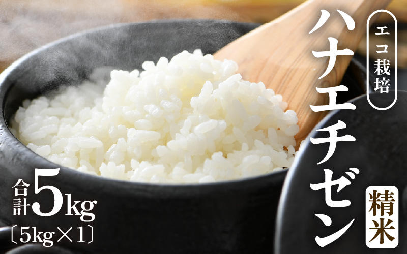 【先行予約】【令和8年産 新米】 エコ栽培ハナエチゼン　白米5kg ／ 鮮度抜群 福井県産 はなえちぜん ご飯 新鮮 白米 ※2026年9月上旬以降順次発送予定 [aw063-a019]
