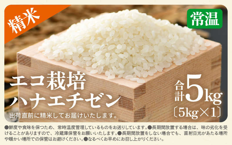 【先行予約】【令和8年産 新米】 エコ栽培ハナエチゼン　白米5kg ／ 鮮度抜群 福井県産 はなえちぜん ご飯 新鮮 白米 ※2026年9月上旬以降順次発送予定 [aw063-a019]