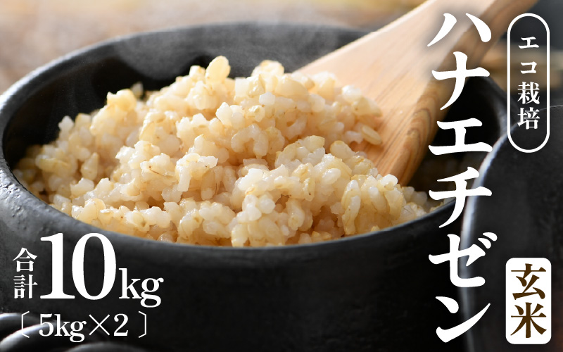 【先行予約】【令和8年産 新米】 エコ栽培ハナエチゼン 玄米10kg （5kg×2袋） ／ 鮮度抜群 福井県産 はなえちぜん ご飯 新鮮 玄米 ※2026年9月上旬以降順次発送予定 [aw063-a018]