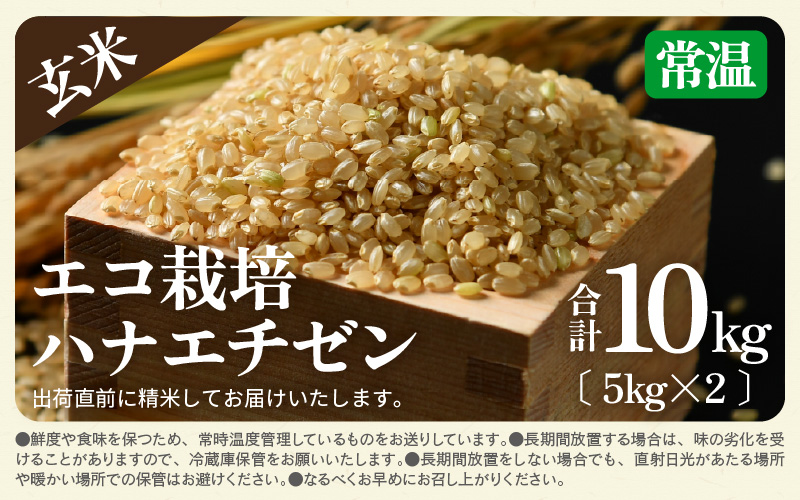 【先行予約】【令和8年産 新米】 エコ栽培ハナエチゼン 玄米10kg （5kg×2袋） ／ 鮮度抜群 福井県産 はなえちぜん ご飯 新鮮 玄米 ※2026年9月上旬以降順次発送予定 [aw063-a018]
