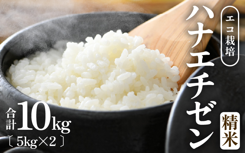 【先行予約】【令和8年産 新米】【一等米】 エコ栽培ハナエチゼン 精米10kg （5kg×2袋） ／ 鮮度抜群 福井県産 はなえちぜん ご飯 新鮮 白米 ※2026年9月上旬以降順次発送予定 [aw063-a027]