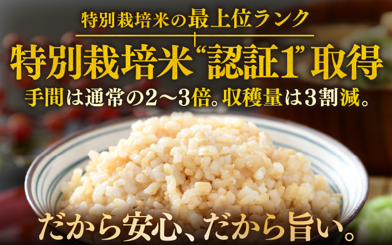 【先行予約】【令和8年産 新米】コシヒカリ 玄米 5kg×2袋（計10kg） 特別栽培米 農薬不使用 化学肥料不使用 ／ 残留農薬ゼロ 高品質 鮮度抜群 福井県産 ブランド米 ※2026年9月下旬より順次発送予定 [aw063-c008]