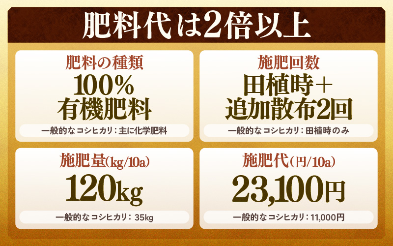 【先行予約】【令和8年産 新米】コシヒカリ 玄米 5kg×2袋（計10kg） 特別栽培米 農薬不使用 化学肥料不使用 ／ 残留農薬ゼロ 高品質 鮮度抜群 福井県産 ブランド米 ※2026年9月下旬より順次発送予定 [aw063-c008]