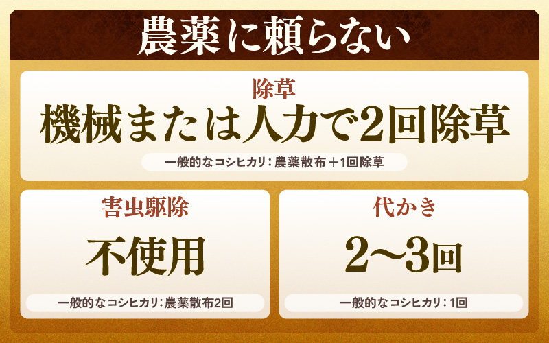 【先行予約】【令和8年産 新米】コシヒカリ 玄米 5kg×2袋（計10kg） 特別栽培米 農薬不使用 化学肥料不使用 ／ 残留農薬ゼロ 高品質 鮮度抜群 福井県産 ブランド米 ※2026年9月下旬より順次発送予定 [aw063-c008]