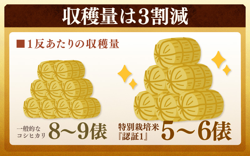 【先行予約】【令和8年産 新米】コシヒカリ 玄米 5kg×2袋（計10kg） 特別栽培米 農薬不使用 化学肥料不使用 ／ 残留農薬ゼロ 高品質 鮮度抜群 福井県産 ブランド米 ※2026年9月下旬より順次発送予定 [aw063-c008]