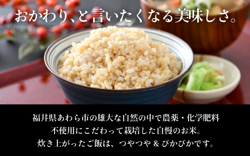 【先行予約】【令和8年産 新米】コシヒカリ 玄米 5kg×2袋（計10kg） 特別栽培米 農薬不使用 化学肥料不使用 ／ 残留農薬ゼロ 高品質 鮮度抜群 福井県産 ブランド米 ※2026年9月下旬より順次発送予定 [aw063-c008]