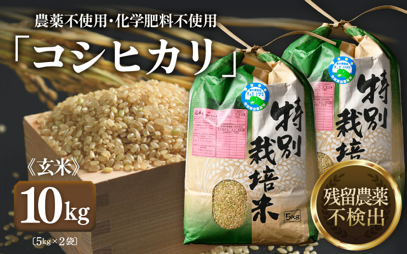 【先行予約】【令和8年産 新米】コシヒカリ 玄米 5kg×2袋（計10kg） 特別栽培米 農薬不使用 化学肥料不使用 ／ 残留農薬ゼロ 高品質 鮮度抜群 福井県産 ブランド米 ※2026年9月下旬より順次発送予定 [aw063-c008]