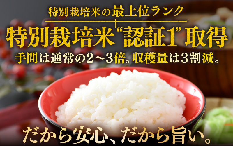 【先行予約】【令和8年産 新米】コシヒカリ 精米 5kg×2袋（計10kg） 特別栽培米 農薬不使用 化学肥料不使用 ／ 残留農薬ゼロ 高品質 鮮度抜群 福井県産 ブランド米 白米 ※2026年9月下旬より順次発送予定 [aw063-c009]