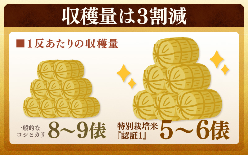【先行予約】【令和8年産 新米】コシヒカリ 精米 5kg×2袋（計10kg） 特別栽培米 農薬不使用 化学肥料不使用 ／ 残留農薬ゼロ 高品質 鮮度抜群 福井県産 ブランド米 白米 ※2026年9月下旬より順次発送予定 [aw063-c009]