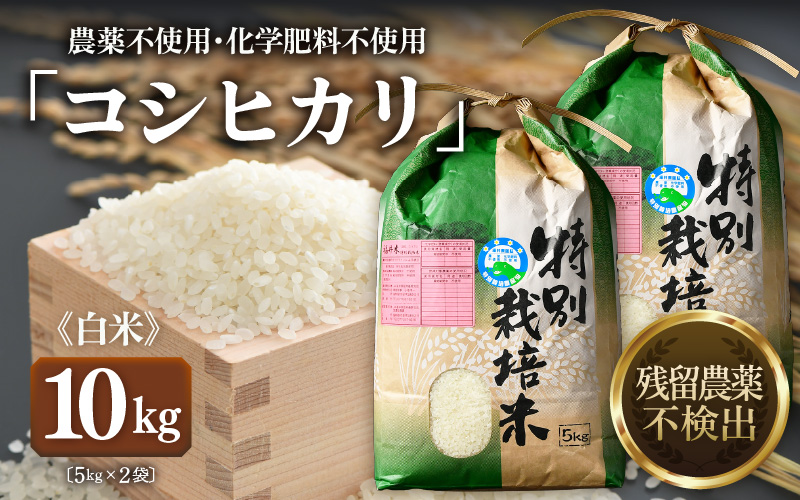 【先行予約】【令和8年産 新米】コシヒカリ 精米 5kg×2袋（計10kg） 特別栽培米 農薬不使用 化学肥料不使用 ／ 残留農薬ゼロ 高品質 鮮度抜群 福井県産 ブランド米 白米 ※2026年9月下旬より順次発送予定 [aw063-c009]