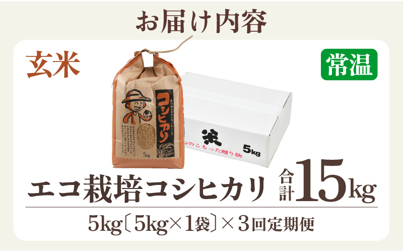 【先行予約】【令和8年産 新米】エコ栽培コシヒカリ　玄米5kg×3回 計15kg ／ 鮮度抜群 福井県産 こしひかり ご飯 新鮮 玄米 ※2026年10月上旬以降順次発送 [aw063-b016]