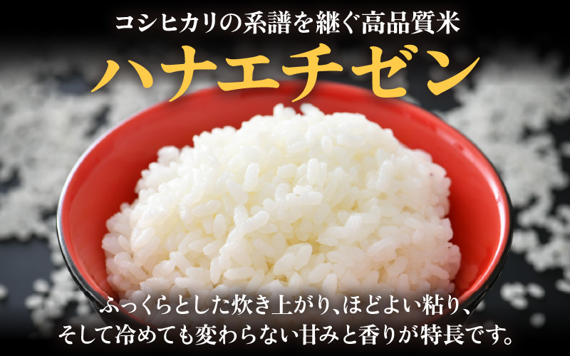 【先行予約】【令和8年産 新米】 エコ栽培ハナエチゼン　白米5kg×3回 計15kg ／ 鮮度抜群 福井県産 はなえちぜん ご飯 新鮮 白米 ※2026年9月上旬以降順次発送予定 [aw063-b015]