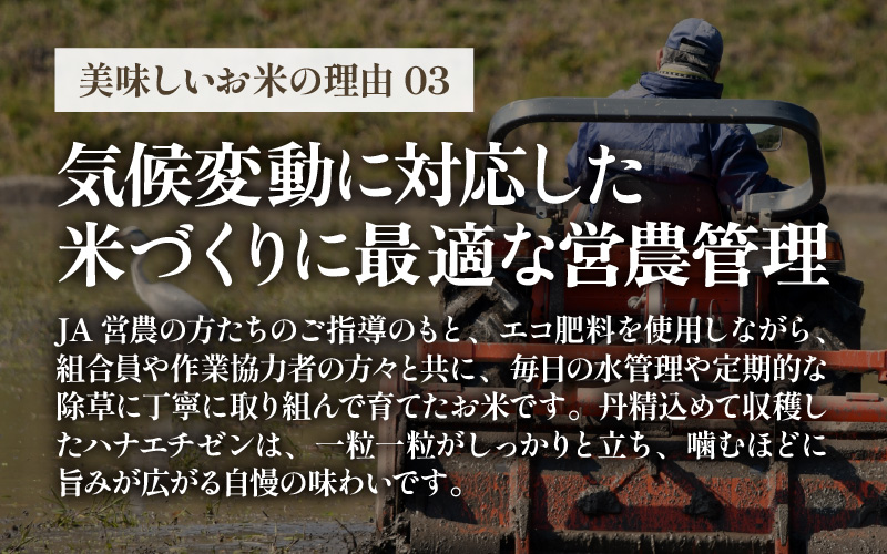 【先行予約】【令和8年産 新米】 エコ栽培ハナエチゼン　白米5kg×3回 計15kg ／ 鮮度抜群 福井県産 はなえちぜん ご飯 新鮮 白米 ※2026年9月上旬以降順次発送予定 [aw063-b015]