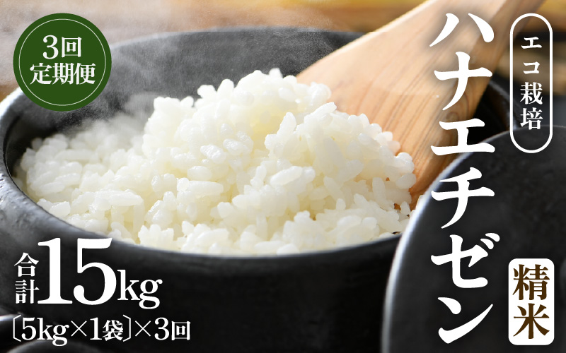 【先行予約】【令和8年産 新米】 エコ栽培ハナエチゼン　白米5kg×3回 計15kg ／ 鮮度抜群 福井県産 はなえちぜん ご飯 新鮮 白米 ※2026年9月上旬以降順次発送予定 [aw063-b015]