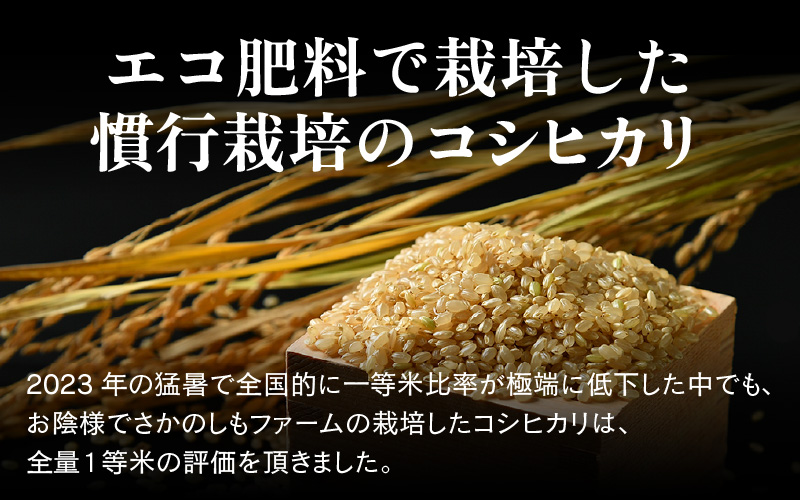 【先行予約】【令和8年産 新米】【一等米】《定期便3回》エコ栽培コシヒカリ 玄米10kg（5kg×2袋）計30kg ／ 鮮度抜群 福井県産 こしひかり ご飯 新鮮 玄米 ※2026年10月上旬以降順次発送 [aw063-e008]