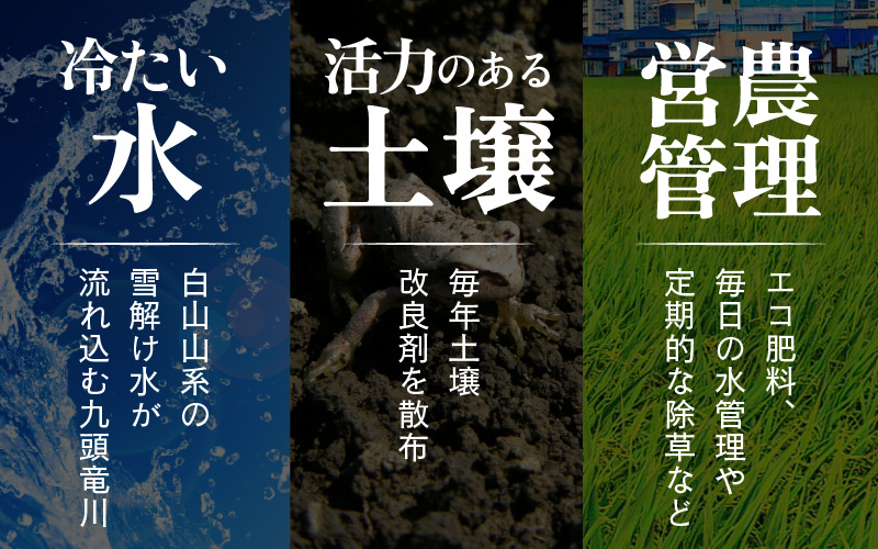 【先行予約】【令和8年産 新米】【一等米】《定期便3回》エコ栽培コシヒカリ 玄米10kg（5kg×2袋）計30kg ／ 鮮度抜群 福井県産 こしひかり ご飯 新鮮 玄米 ※2026年10月上旬以降順次発送 [aw063-e008]