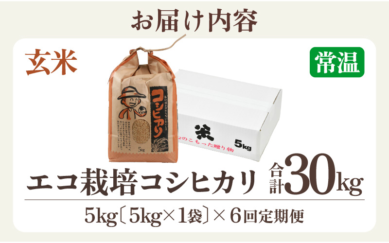 【先行予約】【令和8年産 新米】エコ栽培コシヒカリ  玄米5kg×6回 計30kg ／ 鮮度抜群 福井県産 こしひかり ご飯 新鮮 玄米 ※2026年10月上旬以降順次発送 [aw063-e005]