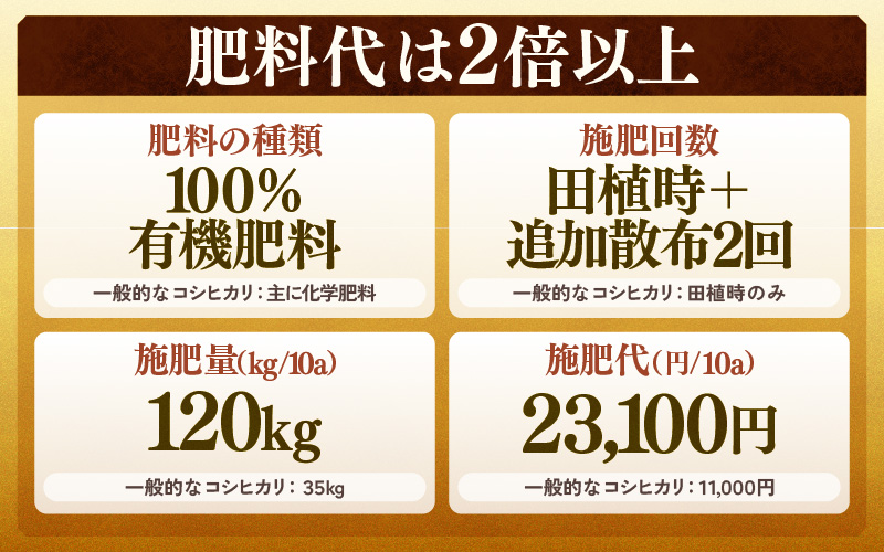 【先行予約】【令和8年産 新米】定期便《6ヶ月連続お届け》特別栽培米コシヒカリ 精米 5kg×6回（計30kg） 農薬不使用 化学肥料不使用 ／ 残留農薬ゼロ 高品質 鮮度抜群 福井県産 ブランド米 白米 ※2026年10月上旬以降順次発送 [aw063-i003]