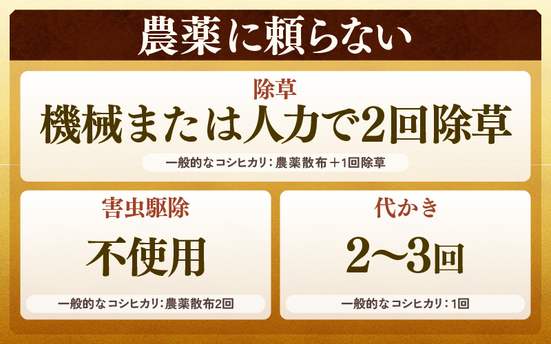【先行予約】【令和8年産 新米】定期便《6ヶ月連続お届け》特別栽培米コシヒカリ 精米 5kg×6回（計30kg） 農薬不使用 化学肥料不使用 ／ 残留農薬ゼロ 高品質 鮮度抜群 福井県産 ブランド米 白米 ※2026年10月上旬以降順次発送 [aw063-i003]
