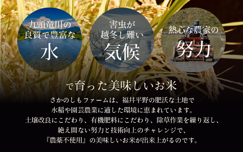 【先行予約】【令和8年産 新米】定期便《6ヶ月連続お届け》特別栽培米コシヒカリ 精米 5kg×6回（計30kg） 農薬不使用 化学肥料不使用 ／ 残留農薬ゼロ 高品質 鮮度抜群 福井県産 ブランド米 白米 ※2026年10月上旬以降順次発送 [aw063-i003]
