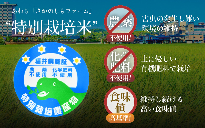 【先行予約】【令和8年産 新米】定期便《6ヶ月連続お届け》特別栽培米コシヒカリ 精米 5kg×6回（計30kg） 農薬不使用 化学肥料不使用 ／ 残留農薬ゼロ 高品質 鮮度抜群 福井県産 ブランド米 白米 ※2026年10月上旬以降順次発送 [aw063-i003]