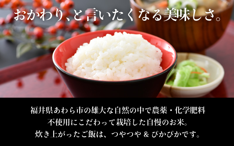 【先行予約】【令和8年産 新米】定期便《6ヶ月連続お届け》特別栽培米コシヒカリ 精米 5kg×6回（計30kg） 農薬不使用 化学肥料不使用 ／ 残留農薬ゼロ 高品質 鮮度抜群 福井県産 ブランド米 白米 ※2026年10月上旬以降順次発送 [aw063-i003]