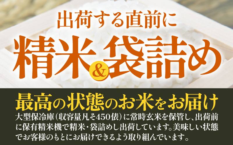 【先行予約】【令和8年産 新米】【一等米】 定期便 ≪6ヶ月連続お届け≫ エコ栽培ハナエチゼン 精米 10kg×6回（計60kg）／ 鮮度抜群 福井県産 はなえちぜん ご飯 新鮮 白米 ※2026年9月上旬以降順次発送予定 [aw063-i005]
