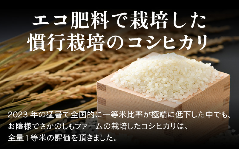 【先行予約】【令和8年産 新米】【一等米】定期便 ≪12ヶ月連続お届け≫ エコ栽培コシヒカリ  白米5kg×12回 計60kg ／ 鮮度抜群 福井県産 こしひかり ご飯 新鮮 白米 ※2026年10月上旬以降順次発送 [aw063-j008]