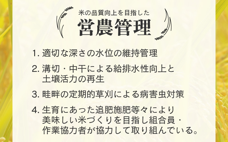 【先行予約】【令和8年産 新米】【一等米】定期便 ≪12ヶ月連続お届け≫ エコ栽培コシヒカリ  白米5kg×12回 計60kg ／ 鮮度抜群 福井県産 こしひかり ご飯 新鮮 白米 ※2026年10月上旬以降順次発送 [aw063-j008]