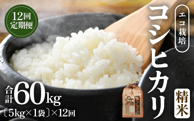【先行予約】【令和8年産 新米】【一等米】定期便 ≪12ヶ月連続お届け≫ エコ栽培コシヒカリ  白米5kg×12回 計60kg ／ 鮮度抜群 福井県産 こしひかり ご飯 新鮮 白米 ※2026年10月上旬以降順次発送 [aw063-j008]