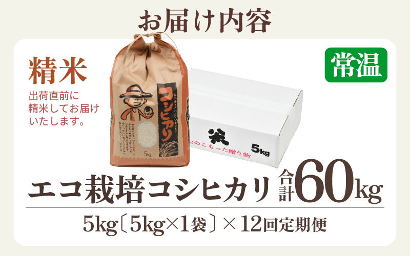 【先行予約】【令和8年産 新米】【一等米】定期便 ≪12ヶ月連続お届け≫ エコ栽培コシヒカリ  白米5kg×12回 計60kg ／ 鮮度抜群 福井県産 こしひかり ご飯 新鮮 白米 ※2026年10月上旬以降順次発送 [aw063-j008]