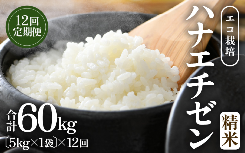 【先行予約】【令和8年産 新米】 エコ栽培ハナエチゼン  白米5kg×12回 計60kg ／ 鮮度抜群 福井県産 はなえちぜん ご飯 新鮮 白米 ※2026年9月上旬以降順次発送予定 [aw063-j002]