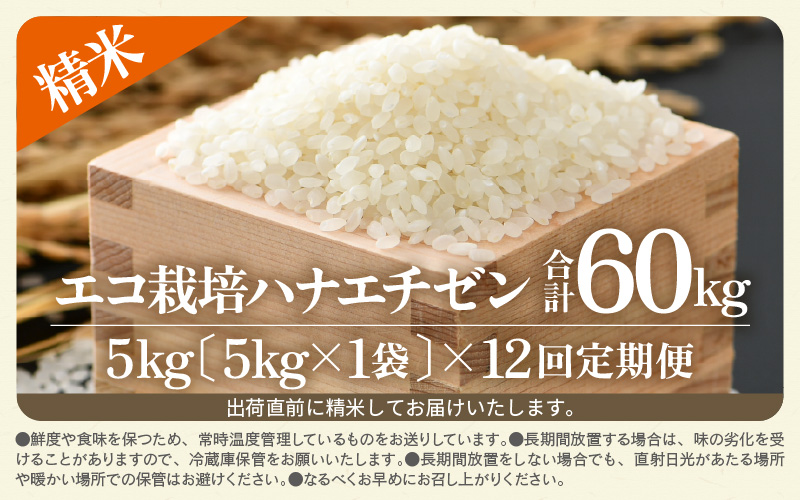 【先行予約】【令和8年産 新米】 エコ栽培ハナエチゼン  白米5kg×12回 計60kg ／ 鮮度抜群 福井県産 はなえちぜん ご飯 新鮮 白米 ※2026年9月上旬以降順次発送予定 [aw063-j002]