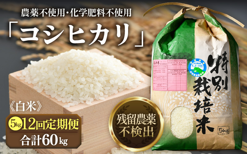 【先行予約】【令和8年産 新米】定期便《12ヶ月連続お届け》コシヒカリ 精米 5kg （計60kg）特別栽培米 農薬不使用 化学肥料不使用 ／残留農薬ゼロ 高品質 鮮度抜群 福井県産 ブランド米 白米 ※2026年10月上旬以降順次発送 [aw063-n005]