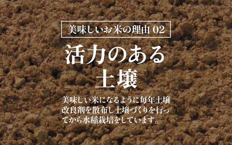 【先行予約】【令和8年産 新米】 【一等米】定期便 ≪12ヶ月連続お届け≫ エコ栽培ハナエチゼン 精米 10kg×12回（計120kg）／ 鮮度抜群 福井県産 はなえちぜん ご飯 新鮮 白米 ※2026年9月上旬以降順次発送予定 [aw063-n006]