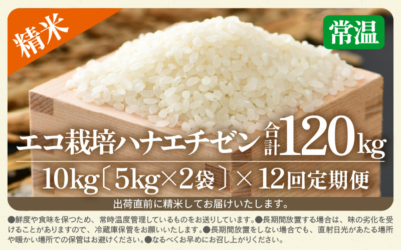 【先行予約】【令和8年産 新米】 【一等米】定期便 ≪12ヶ月連続お届け≫ エコ栽培ハナエチゼン 精米 10kg×12回（計120kg）／ 鮮度抜群 福井県産 はなえちぜん ご飯 新鮮 白米 ※2026年9月上旬以降順次発送予定 [aw063-n006]
