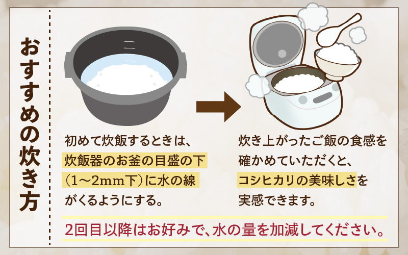 【令和7年産】コシヒカリ 精米 10kg×1袋 《お米マイスターが発送直前に精米！》／ 米 お米 10キロ 福井県産 ブランド米 ご飯 白米 新鮮 [aw064-b009]