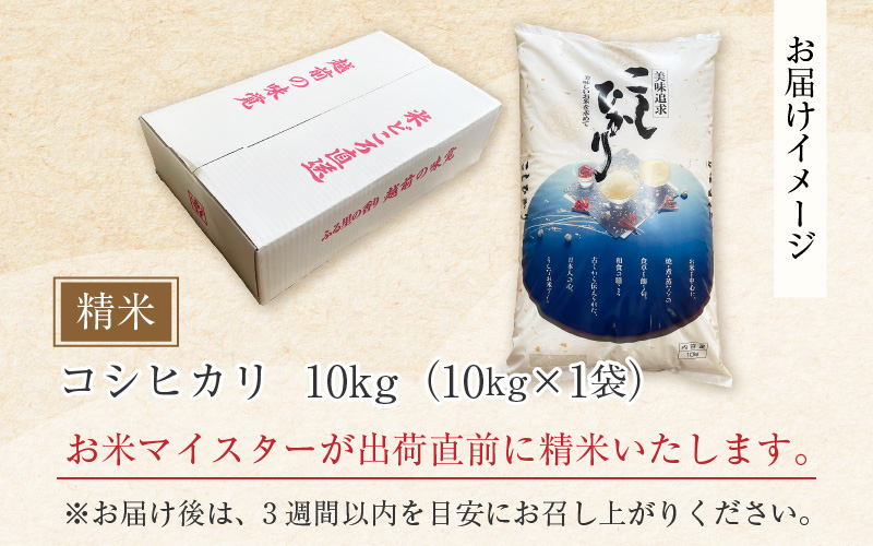 【令和7年産】コシヒカリ 精米 10kg×1袋 《お米マイスターが発送直前に精米！》／ 米 お米 10キロ 福井県産 ブランド米 ご飯 白米 新鮮 [aw064-b009]