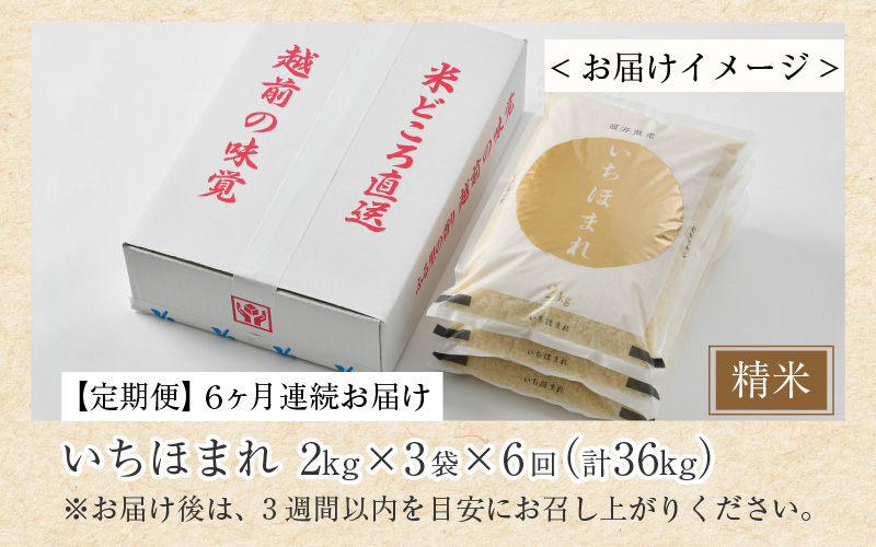 【令和7年産】定期便6回 いちほまれ 精米 2kg×3袋×6回（計36kg）《お米マイスターが発送直前に精米！》／ 福井県産 ブランド米 ご飯 白米 新鮮 [aw064-k004]