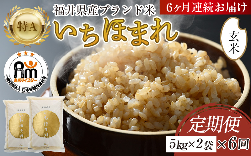 【令和7年産】定期便6回 いちほまれ 玄米 10kg×6回（計60kg）《新鮮な高品質米をお届け！》／ 福井県産 ブランド米 ご飯 [aw064-l003]